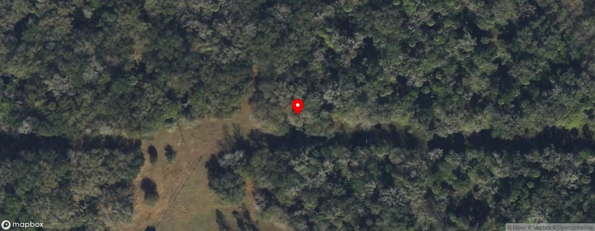 House image located at Lithia, Florida, 33547