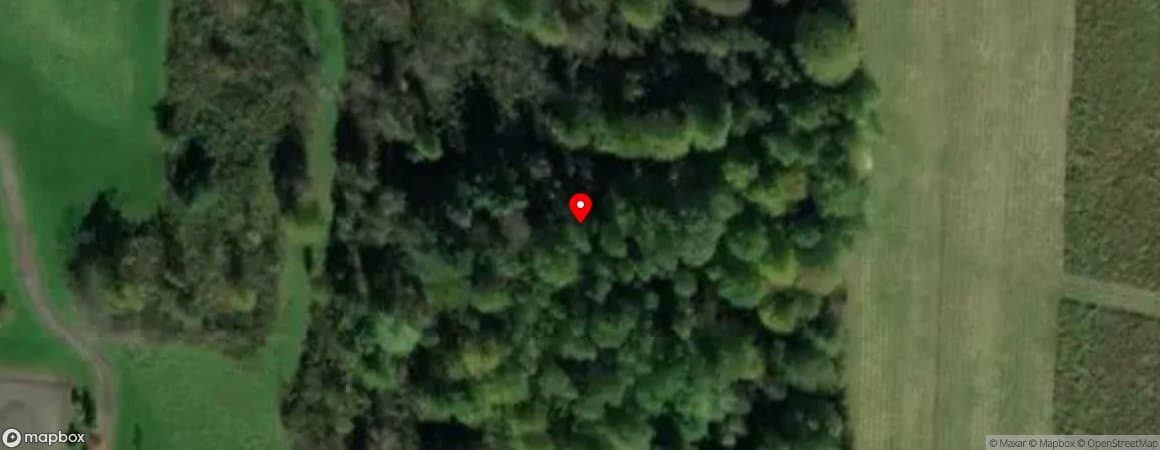 House image located at Irving, New York, 14081